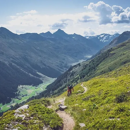 Ochsen 2 By Mountain Hotell